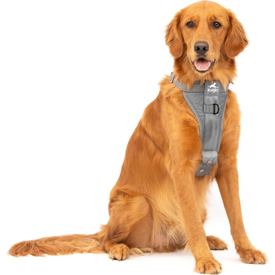 Kurgo Enhanced Tru-Fit Dog Harness, Crash Tested, Car Seat Tether, for Dogs Weighing 34 to 47 kg, Size XL, Black Kurgo Enhanced Tru-Fit Dog Harness, Crash Tested, Car Seat Tether, for Dogs Weighing 34 to 47 kg, Size XL, Black