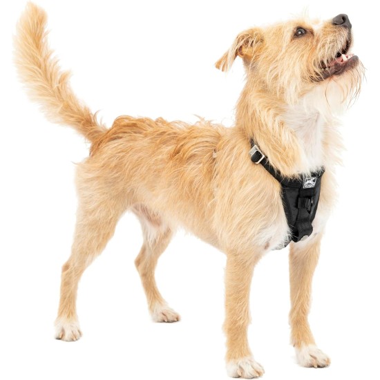 Kurgo Enhanced Tru-Fit Dog Harness, Crash Tested, Car Seat Tether, for Dogs Weighing 34 to 47 kg, Size XL, Black Kurgo Enhanced Tru-Fit Dog Harness, Crash Tested, Car Seat Tether, for Dogs Weighing 34 to 47 kg, Size XL, Black