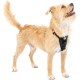Kurgo Enhanced Tru-Fit Dog Harness, Crash Tested, Car Seat Tether, for Dogs Weighing 34 to 47 kg, Size XL, Black Kurgo Enhanced Tru-Fit Dog Harness, Crash Tested, Car Seat Tether, for Dogs Weighing 34 to 47 kg, Size XL, Black