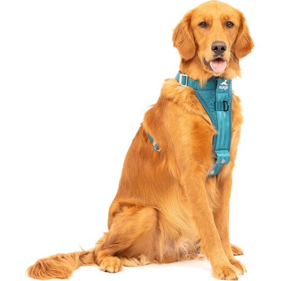 Kurgo Enhanced Tru-Fit Dog Harness, Crash Tested, Car Seat Tether, for Dogs Weighing 34 to 47 kg, Size XL, Black Kurgo Enhanced Tru-Fit Dog Harness, Crash Tested, Car Seat Tether, for Dogs Weighing 34 to 47 kg, Size XL, Black