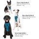 Kurgo Enhanced Tru-Fit Dog Harness, Crash Tested, Car Seat Tether, for Dogs Weighing 34 to 47 kg, Size XL, Black Kurgo Enhanced Tru-Fit Dog Harness, Crash Tested, Car Seat Tether, for Dogs Weighing 34 to 47 kg, Size XL, Black