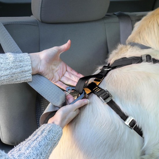 Kurgo Enhanced Tru-Fit Dog Harness, Crash Tested, Car Seat Tether, for Dogs Weighing 34 to 47 kg, Size XL, Black Kurgo Enhanced Tru-Fit Dog Harness, Crash Tested, Car Seat Tether, for Dogs Weighing 34 to 47 kg, Size XL, Black