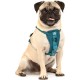 Kurgo Enhanced Tru-Fit Dog Harness, Crash Tested, Car Seat Tether, for Dogs Weighing 34 to 47 kg, Size XL, Black Kurgo Enhanced Tru-Fit Dog Harness, Crash Tested, Car Seat Tether, for Dogs Weighing 34 to 47 kg, Size XL, Black