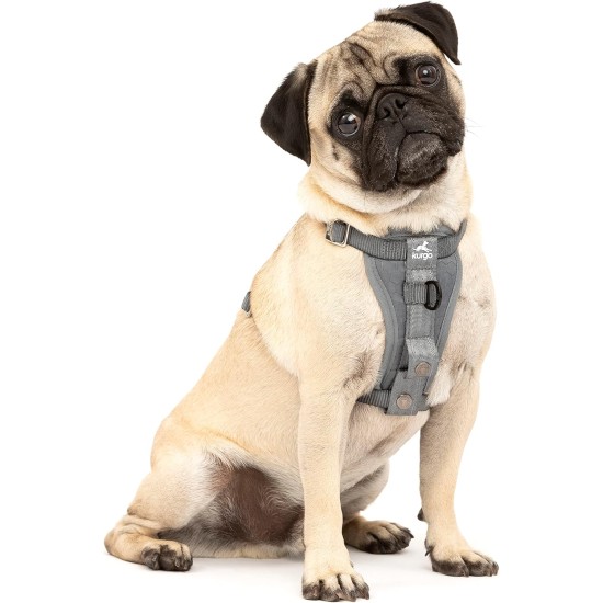 Kurgo Enhanced Tru-Fit Dog Harness, Crash Tested, Car Seat Tether, for Dogs Weighing 34 to 47 kg, Size XL, Black Kurgo Enhanced Tru-Fit Dog Harness, Crash Tested, Car Seat Tether, for Dogs Weighing 34 to 47 kg, Size XL, Black