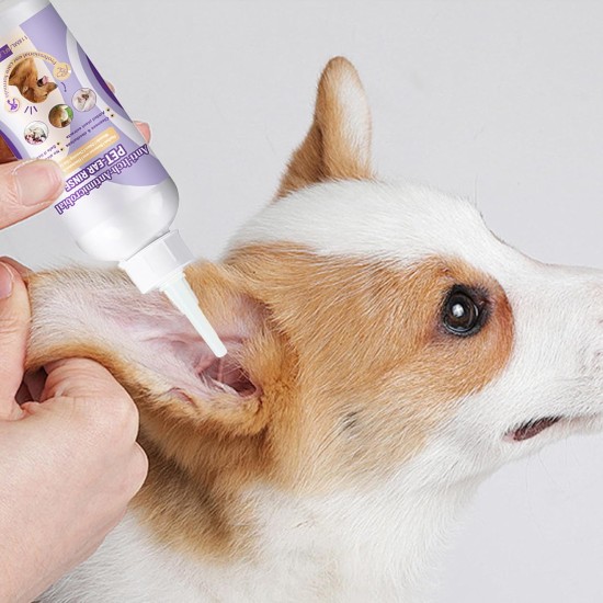 118 ml Ear Cleaner Dog + 10 Pieces Cotton Buds Double-Sided 7.1 cm, Ear Drops Dog, Ear Cleaner Dogs, Pet Ear Cleaner, Pet Ear Cleaning, Ear Care for Dog Cat Ear Hygiene 118 ml Ear Cleaner Dog + 10 Pieces Cotton Buds Double-Sided 7.1 cm, Ear Drops Dog, Ear Cleaner Dogs, Pet Ear Cleaner, Pet Ear Cleaning, Ear Care for Dog Cat Ear Hygiene