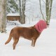 AIEX Pack of 4 Dog Head Covers, Soft Earmuffs for Dogs, Colourful Neckerchief Dog to Keep Warm, Noise Reduction, Relaxation AIEX Pack of 4 Dog Head Covers, Soft Earmuffs for Dogs, Colourful Neckerchief Dog to Keep Warm, Noise Reduction, Relaxation