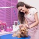 About 150 Pieces Dog Cotton Buds Ear Cleaners, 150 mm Long Cotton Buds for Dogs, Ear Cleaning Dog Pets, for Cleaning and Hygiene of Pet Ears About 150 Pieces Dog Cotton Buds Ear Cleaners, 150 mm Long Cotton Buds for Dogs, Ear Cleaning Dog Pets, for Cleaning and Hygiene of Pet Ears
