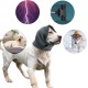 Adjustable Calming Headband for Dogs with Magic Bands, Calming Hood for Dogs Against Anxiety, Keeps them Warm, Ear Protection Purple Light M