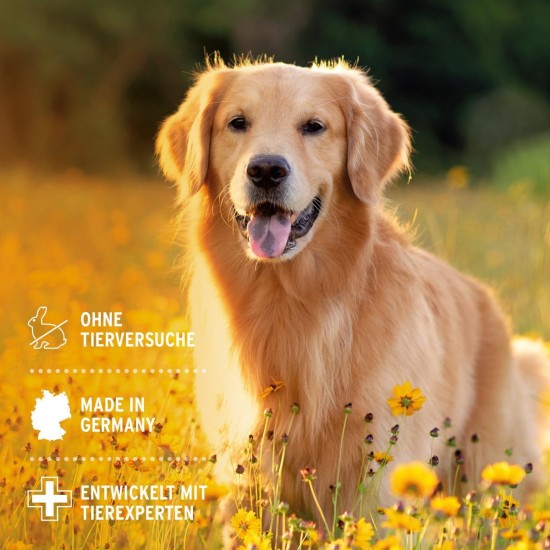 AniForte Ear Drops with Colloidal Silver 25 ppm & Marigold 50 ml | For Dogs, Cats & Small Animals I For Ear Inflammation, Itching I Ear Care, Ear Hygiene, Healthy Ears AniForte Ear Drops with Colloidal Silver 25 ppm & Marigold 50 ml | For Dogs, Cats & Small Animals I For Ear Inflammation, Itching I Ear Care, Ear Hygiene, Healthy Ears