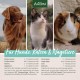 Aniforte Ohrmilbenöl 50 ml with Ear Mite Natural Product For Dogs, Cats and Other Pets Aniforte Ohrmilbenöl 50 ml with Ear Mite Natural Product For Dogs, Cats and Other Pets