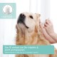 Aniforte Ohrmilbenöl 50 ml with Ear Mite Natural Product For Dogs, Cats and Other Pets Aniforte Ohrmilbenöl 50 ml with Ear Mite Natural Product For Dogs, Cats and Other Pets