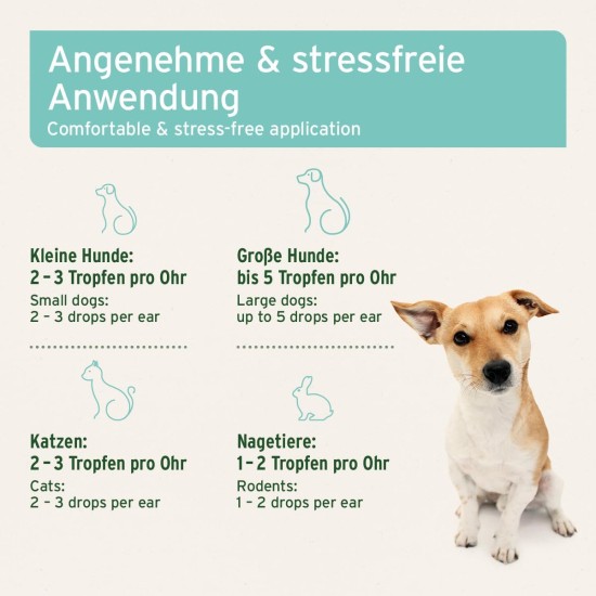 Aniforte Ohrmilbenöl 50 ml with Ear Mite Natural Product For Dogs, Cats and Other Pets Aniforte Ohrmilbenöl 50 ml with Ear Mite Natural Product For Dogs, Cats and Other Pets