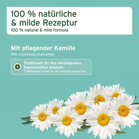 Aniforte Vet Chamomile Ear Cleaner 250Ml – Ear Cleaner – Nourishes and soothes Rapid Action for Dogs and Cats – Gentle Solution without alcohol – Natural product for Animals Aniforte Vet Chamomile Ear Cleaner 250Ml – Ear Cleaner – Nourishes and soothes Rapid Action for Dogs and Cats – Gentle Solution without alcohol – Natural product for Animals