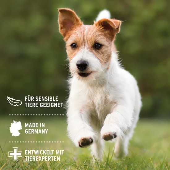 Aniforte Vet Chamomile Ear Cleaner 250Ml – Ear Cleaner – Nourishes and soothes Rapid Action for Dogs and Cats – Gentle Solution without alcohol – Natural product for Animals Aniforte Vet Chamomile Ear Cleaner 250Ml – Ear Cleaner – Nourishes and soothes Rapid Action for Dogs and Cats – Gentle Solution without alcohol – Natural product for Animals