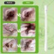 Aomig Dog Cotton Buds Pack of 50 Ear Cleaning for Dogs Ear Cleaner with Ear Drops Ear Cleaning Sticks Pets 8 cm Dog Ear Cleaner Cotton Buds Pet Ears for Pets Dogs Cats Aomig Dog Cotton Buds Pack of 50 Ear Cleaning for Dogs Ear Cleaner with Ear Drops Ear Cleaning Sticks Pets 8 cm Dog Ear Cleaner Cotton Buds Pet Ears for Pets Dogs Cats