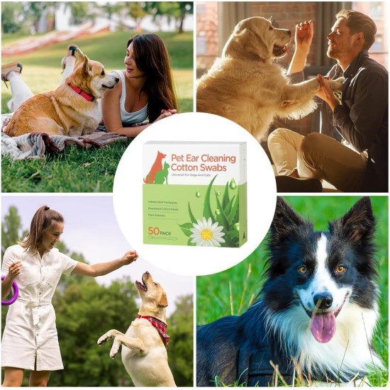Aomig Dog Cotton Buds Pack of 50 Ear Cleaning for Dogs Ear Cleaner with Ear Drops Ear Cleaning Sticks Pets 8 cm Dog Ear Cleaner Cotton Buds Pet Ears for Pets Dogs Cats Aomig Dog Cotton Buds Pack of 50 Ear Cleaning for Dogs Ear Cleaner with Ear Drops Ear Cleaning Sticks Pets 8 cm Dog Ear Cleaner Cotton Buds Pet Ears for Pets Dogs Cats