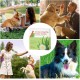 Aomig Dog Cotton Buds Pack of 50 Ear Cleaning for Dogs Ear Cleaner with Ear Drops Ear Cleaning Sticks Pets 8 cm Dog Ear Cleaner Cotton Buds Pet Ears for Pets Dogs Cats Aomig Dog Cotton Buds Pack of 50 Ear Cleaning for Dogs Ear Cleaner with Ear Drops Ear Cleaning Sticks Pets 8 cm Dog Ear Cleaner Cotton Buds Pet Ears for Pets Dogs Cats