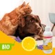 BEAPHAR - Organic Ear-Clean Milk for Dogs and Cats - 98.9% Organic Ingredients - 0% Parabens, Silicones, Dyes - 100 ml BEAPHAR - Organic Ear-Clean Milk for Dogs and Cats - 98.9% Organic Ingredients - 0% Parabens, Silicones, Dyes - 100 ml