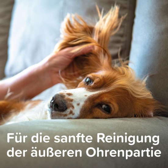 BEAPHAR - Organic Ear-Clean Milk for Dogs and Cats - 98.9% Organic Ingredients - 0% Parabens, Silicones, Dyes - 100 ml BEAPHAR - Organic Ear-Clean Milk for Dogs and Cats - 98.9% Organic Ingredients - 0% Parabens, Silicones, Dyes - 100 ml