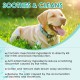 Bodiiwuliu 22 ml Pet Ear Mite Cleaning Solution, Pet Ear Mite Cleaning and Protection 2-in-1, Ear Cleaner, Against Bad Odours, Itching, Restores Hearing Comfort for Pets