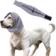 CAPASTEC Adjustable Calming Headband for Dogs with Magic Bands, Calming Hood for Dogs Against Anxiety, Keeps them Warm, Ear Protection Grey L CAPASTEC Adjustable Calming Headband for Dogs with Magic Bands, Calming Hood for Dogs Against Anxiety, Keeps them Warm, Ear Protection Grey L