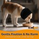COMFPET Happy Hoodie for Dogs & Cats, Noise & Hearing Protection, Soothing Earmuffs, Ear & Wind Protection, Reduces Fear of Fireworks, Ideal for the Time After Surgery, S (Black) COMFPET Happy Hoodie for Dogs & Cats, Noise & Hearing Protection, Soothing Earmuffs, Ear & Wind Protection, Reduces Fear of Fireworks, Ideal for the Time After Surgery, S (Black)