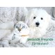 Cadoc Nature Exclusive Ear Cleaner + Silver Cadoc Nature Exclusive Ear Cleaner + Silver