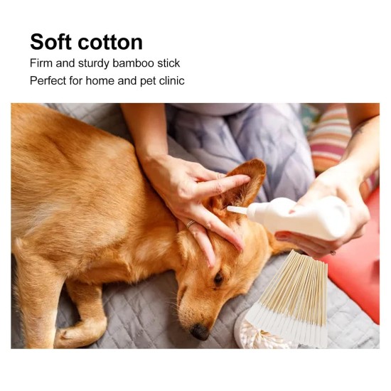 Cotton Buds 100 Pieces Cotton Buds for Dogs Cats Dog Ears Bamboo Professional Dirt Removal Bamboo Sticks for Cleaning Dog Ears Cotton Buds 100 Pieces Cotton Buds for Dogs Cats Dog Ears Bamboo Professional Dirt Removal Bamboo Sticks for Cleaning Dog Ears