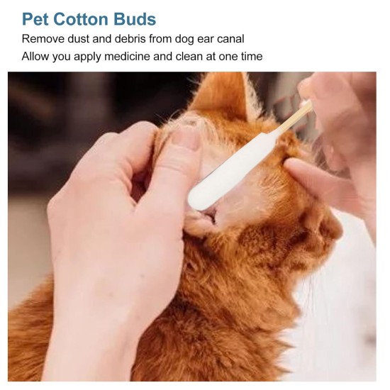 Cotton Buds for Dogs and Cats, 100 Pieces, Professional Cotton Buds for Removing Impurities for Cleaning Dogs' Ears Cotton Buds for Dogs and Cats, 100 Pieces, Professional Cotton Buds for Removing Impurities for Cleaning Dogs' Ears
