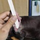 DECHOUS Dobermann Ear Standing Aid Set - Special Tape for Ear Care - Ear Support and Support - Ideal for Puppies and Large Dogs Foam Accessories for Healthy Ears DECHOUS Dobermann Ear Standing Aid Set - Special Tape for Ear Care - Ear Support and Support - Ideal for Puppies and Large Dogs Foam Accessories for Healthy Ears