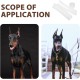 DECHOUS Dobermann Ear Standing Aid Set - Special Tape for Ear Care - Ear Support and Support - Ideal for Puppies and Large Dogs Foam Accessories for Healthy Ears DECHOUS Dobermann Ear Standing Aid Set - Special Tape for Ear Care - Ear Support and Support - Ideal for Puppies and Large Dogs Foam Accessories for Healthy Ears