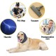 Dark Grey Earmuffs for Dogs, Stretchy, Flexible Ear Protection, Dog, Self-Adhesive Tape, Adjustable Dog Ear Protection, Warm Earmuffs Dog, for Pet Anxiety Relief (S) Dark Grey Earmuffs for Dogs, Stretchy, Flexible Ear Protection, Dog, Self-Adhesive Tape, Adjustable Dog Ear Protection, Warm Earmuffs Dog, for Pet Anxiety Relief (S)