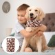 Dog Cat Earmuffs, Noise Protection, Neck and Ear Warmer, Headwear, Pet Scarf, Earmuffs for Dogs and Cats, Anxiety Relief and Calming (Leopard, S/M) Dog Cat Earmuffs, Noise Protection, Neck and Ear Warmer, Headwear, Pet Scarf, Earmuffs for Dogs and Cats, Anxiety Relief and Calming (Leopard, S/M)