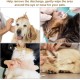 Dog Cotton Buds, Ear Cleaner for Dogs, Cotton Buds, Ear Cleaner, Size Pets Ear Cleaner, Long, Ear Cleaning for Dogs, Ear Cleaner, Ear Cleaning Sticks, Pack of 50 Dog Cotton Buds, Ear Cleaner for Dogs, Cotton Buds, Ear Cleaner, Size Pets Ear Cleaner, Long, Ear Cleaning for Dogs, Ear Cleaner, Ear Cleaning Sticks, Pack of 50