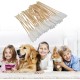 Dog Cotton Buds, Ear Cleaner for Dogs, Cotton Buds, Ear Cleaner, Size Pets Ear Cleaner, Long, Ear Cleaning for Dogs, Ear Cleaner, Ear Cleaning Sticks, Pack of 50 Dog Cotton Buds, Ear Cleaner for Dogs, Cotton Buds, Ear Cleaner, Size Pets Ear Cleaner, Long, Ear Cleaning for Dogs, Ear Cleaner, Ear Cleaning Sticks, Pack of 50