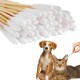 Dog Cotton Buds, Pack of 50 Pet Ear Cleaners Long, Dog Ear Cleaning Sticks, Wooden Ear Cleaning for Pets, Dogs, Ear Cleaning Sticks for Pets, Dogs, Cats, 12 cm Dog Cotton Buds, Pack of 50 Pet Ear Cleaners Long, Dog Ear Cleaning Sticks, Wooden Ear Cleaning for Pets, Dogs, Ear Cleaning Sticks for Pets, Dogs, Cats, 12 cm