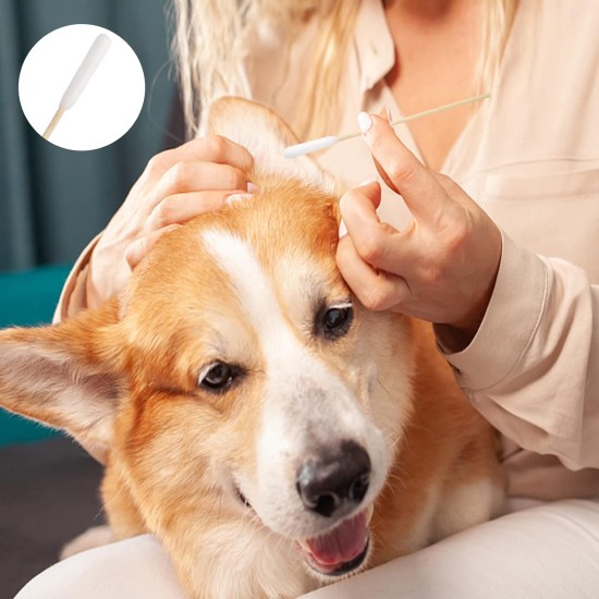 Dog Cotton Buds, Pack of 50 Pet Ear Cleaners, Long, Ear Cleaning Sticks, Pet with Wide Head - for Pets, Dogs, Cats (15 cm) Dog Cotton Buds, Pack of 50 Pet Ear Cleaners, Long, Ear Cleaning Sticks, Pet with Wide Head - for Pets, Dogs, Cats (15 cm)