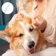 Dog Cotton Buds, Pack of 50 Pet Ear Cleaners, Long, Ear Cleaning Sticks, Pet with Wide Head - for Pets, Dogs, Cats (15 cm) Dog Cotton Buds, Pack of 50 Pet Ear Cleaners, Long, Ear Cleaning Sticks, Pet with Wide Head - for Pets, Dogs, Cats (15 cm)