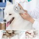 Dog Ear Drops, Cotton Buds for Dogs, Ear Cleaner for Dogs and Cats, Removes Wax and Odours, Pet Ear Cleaner for Dogs and Cats, Dog Ear Wax, Dirt, Odour Remover, 60 ml Dog Ear Drops, Cotton Buds for Dogs, Ear Cleaner for Dogs and Cats, Removes Wax and Odours, Pet Ear Cleaner for Dogs and Cats, Dog Ear Wax, Dirt, Odour Remover, 60 ml