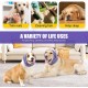 Dog Ear Protectors for Anxiety Relief, Adjustable Dog Hood for Grooming and Bathing, Drying, Noise Protection, Hearing Protection for Cats and Dogs, Size L, Grey) Dog Ear Protectors for Anxiety Relief, Adjustable Dog Hood for Grooming and Bathing, Drying, Noise Protection, Hearing Protection for Cats and Dogs, Size L, Grey)