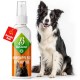 Dog Grooming Kit: (300X) Probiotic Ear Care Spray for Dogs - Natural Ear Cleaner and Earwax Remover, Gentle on Skin and Supports Ear Care (Ear Care 100ml) Dog Grooming Kit: (300X) Probiotic Ear Care Spray for Dogs - Natural Ear Cleaner and Earwax Remover, Gentle on Skin and Supports Ear Care (Ear Care 100ml)