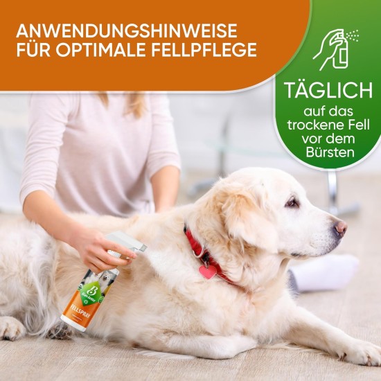 Dog Grooming Kit: (300X) Probiotic Ear Care Spray for Dogs - Natural Ear Cleaner and Earwax Remover, Gentle on Skin and Supports Ear Care (Ear Care 100ml) Dog Grooming Kit: (300X) Probiotic Ear Care Spray for Dogs - Natural Ear Cleaner and Earwax Remover, Gentle on Skin and Supports Ear Care (Ear Care 100ml)