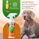 Dog Grooming Kit: (300X) Probiotic Ear Care Spray for Dogs - Natural Ear Cleaner and Earwax Remover, Gentle on Skin and Supports Ear Care (Ear Care 100ml) Dog Grooming Kit: (300X) Probiotic Ear Care Spray for Dogs - Natural Ear Cleaner and Earwax Remover, Gentle on Skin and Supports Ear Care (Ear Care 100ml)