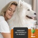 Dog Grooming Kit: (300X) Probiotic Ear Care Spray for Dogs - Natural Ear Cleaner and Earwax Remover, Gentle on Skin and Supports Ear Care (Ear Care 100ml) Dog Grooming Kit: (300X) Probiotic Ear Care Spray for Dogs - Natural Ear Cleaner and Earwax Remover, Gentle on Skin and Supports Ear Care (Ear Care 100ml)