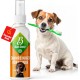 Dog Grooming Kit: (300X) Probiotic Ear Care Spray for Dogs - Natural Ear Cleaner and Earwax Remover, Gentle on Skin and Supports Ear Care (Ear Care 100ml) Dog Grooming Kit: (300X) Probiotic Ear Care Spray for Dogs - Natural Ear Cleaner and Earwax Remover, Gentle on Skin and Supports Ear Care (Ear Care 100ml)