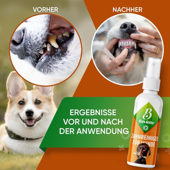 Dog Grooming Kit: (300X) Probiotic Ear Care Spray for Dogs - Natural Ear Cleaner and Earwax Remover, Gentle on Skin and Supports Ear Care (Ear Care 100ml) Dog Grooming Kit: (300X) Probiotic Ear Care Spray for Dogs - Natural Ear Cleaner and Earwax Remover, Gentle on Skin and Supports Ear Care (Ear Care 100ml)