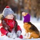 Dog Hearing Protection, Noise Protection for Dogs, Ear Warmers for Dogs, Ear Protection for Dogs, Dog Earmuffs, Dog Scarf, Dog Earmuffs, Hoodies for Dogs, Cats, Dogs Ear Protection Against Noise Dog Hearing Protection, Noise Protection for Dogs, Ear Warmers for Dogs, Ear Protection for Dogs, Dog Earmuffs, Dog Scarf, Dog Earmuffs, Hoodies for Dogs, Cats, Dogs Ear Protection Against Noise