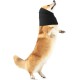 Dog Neck and Ear Warmers for Dogs, Dog Earmuffs Dog Snood Neck and Ear Warmers Dog Neckerchief Headgear for Comfort Dogs Quiet Ear Covers Hood (M,Pink) Dog Neck and Ear Warmers for Dogs, Dog Earmuffs Dog Snood Neck and Ear Warmers Dog Neckerchief Headgear for Comfort Dogs Quiet Ear Covers Hood (M,Pink)