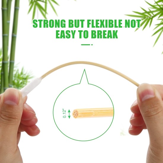 Dog Qtips Long Cotton Buds Bamboo Cotton Buds Suitable for Medication Dog Ear Cleaner Clean Nose Softer Rabbit (6 inch, 500 Pieces) Dog Qtips Long Cotton Buds Bamboo Cotton Buds Suitable for Medication Dog Ear Cleaner Clean Nose Softer Rabbit (6 inch, 500 Pieces)