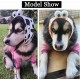 Dog Snood Ear Muffs Hearing Protection for Dogs Noise Protection Pet Ear Flap Head Wrap Hoodie Neck and Ear Warmers for Dogs and Cats Bathing Grooming Reduction Noise Dog Snood Ear Muffs Hearing Protection for Dogs Noise Protection Pet Ear Flap Head Wrap Hoodie Neck and Ear Warmers for Dogs and Cats Bathing Grooming Reduction Noise